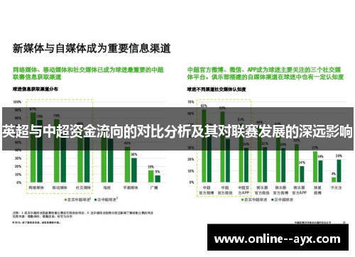 英超与中超资金流向的对比分析及其对联赛发展的深远影响