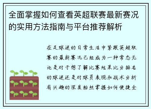 全面掌握如何查看英超联赛最新赛况的实用方法指南与平台推荐解析 全面掌握如何查看英超联赛最新赛况的实用方法指南与平台推荐解析