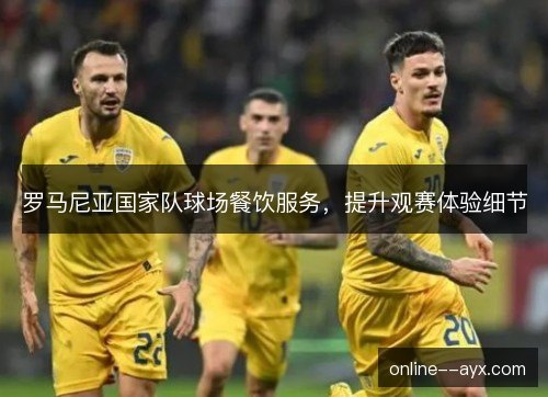 罗马尼亚国家队球场餐饮服务，提升观赛体验细节